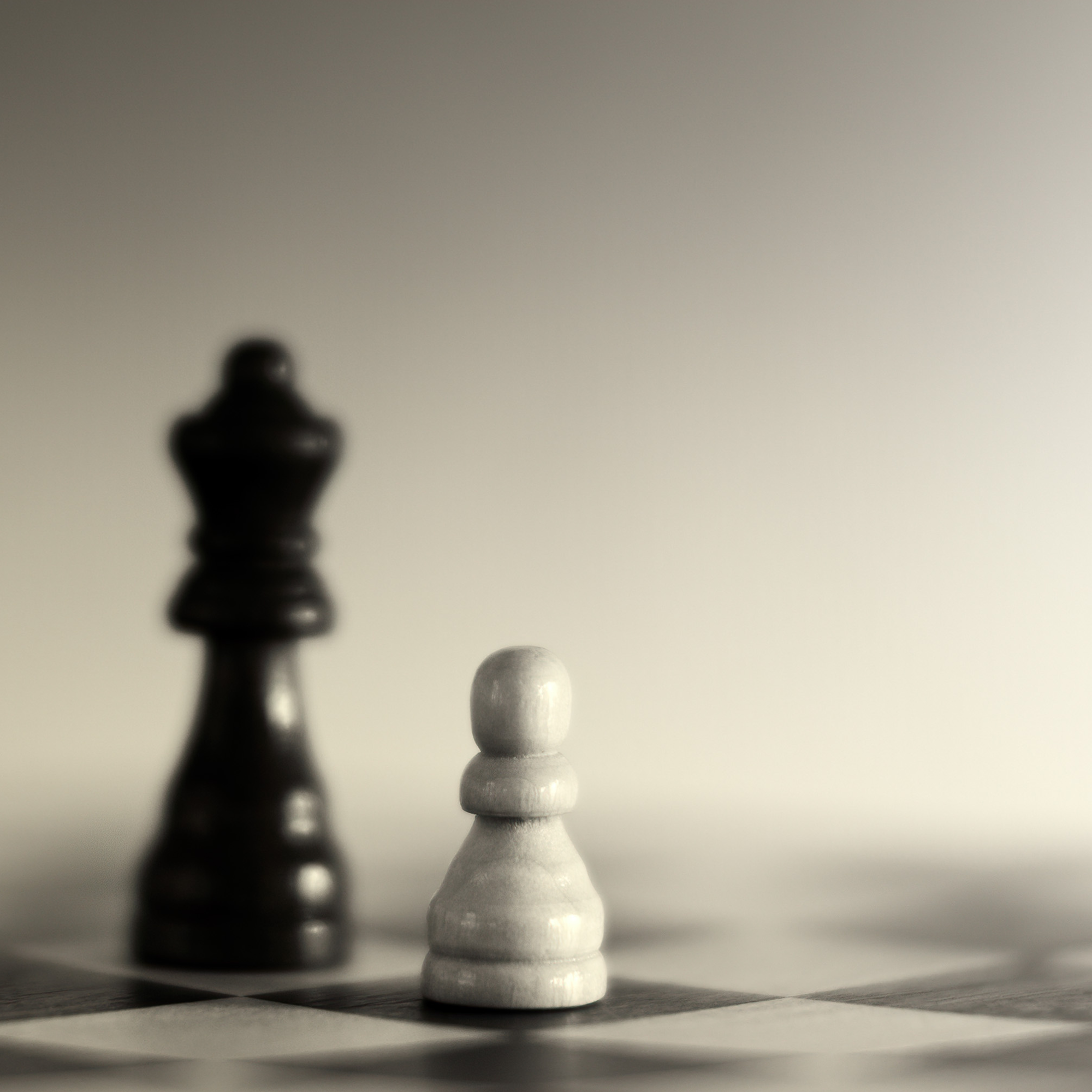 Design ohne Titel (10)